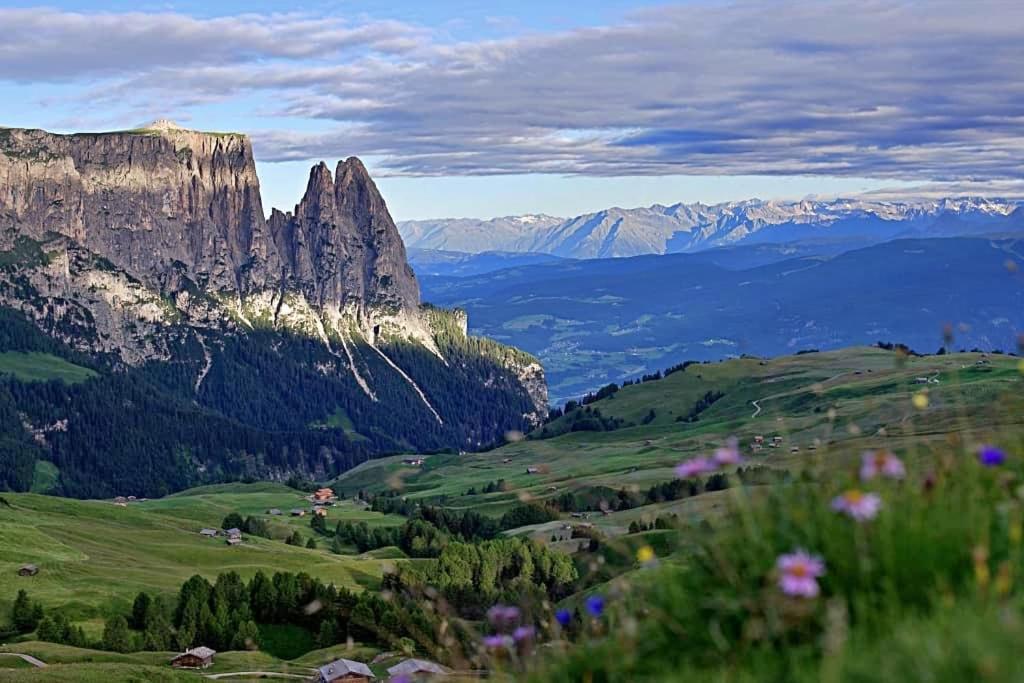 Paradiso Pure.Living Vegan Hotel Alpe Di Siusi Buitenkant foto